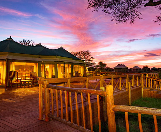 Acacia-Seronera-Luxury-Camp