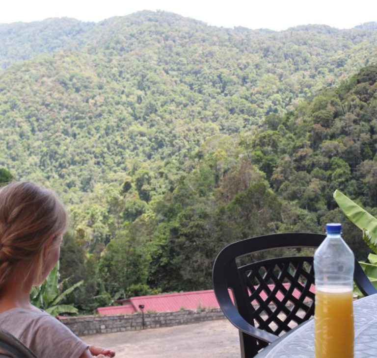 10 Days Madagascar Wildlife Safari Tour