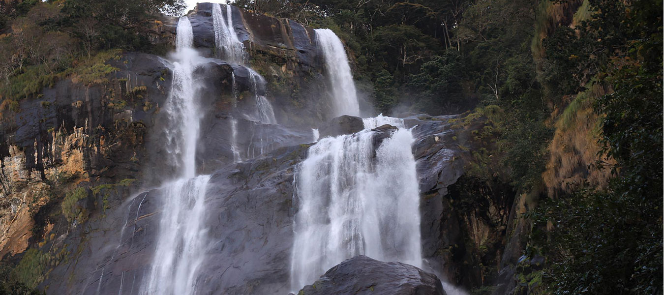 10 Days Nyerere Mikumi Ruaha and Udzungwa + Night Game Drive