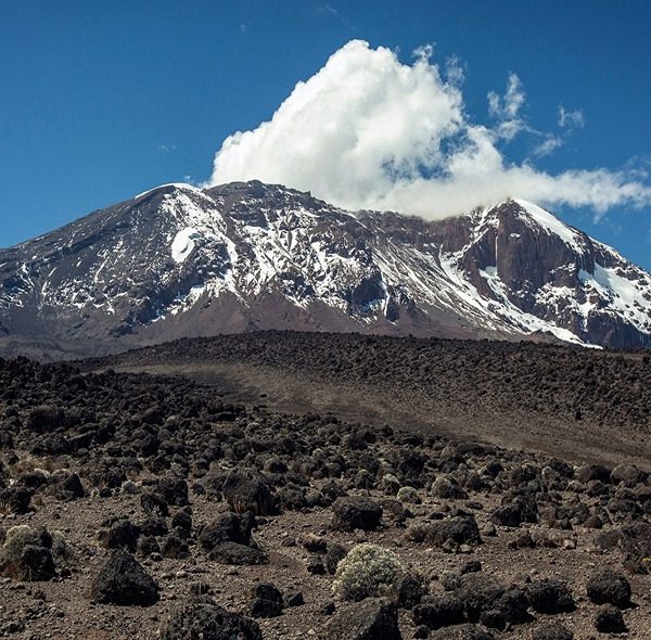 6 Days Mount Kilimanjaro Umbwe Route
