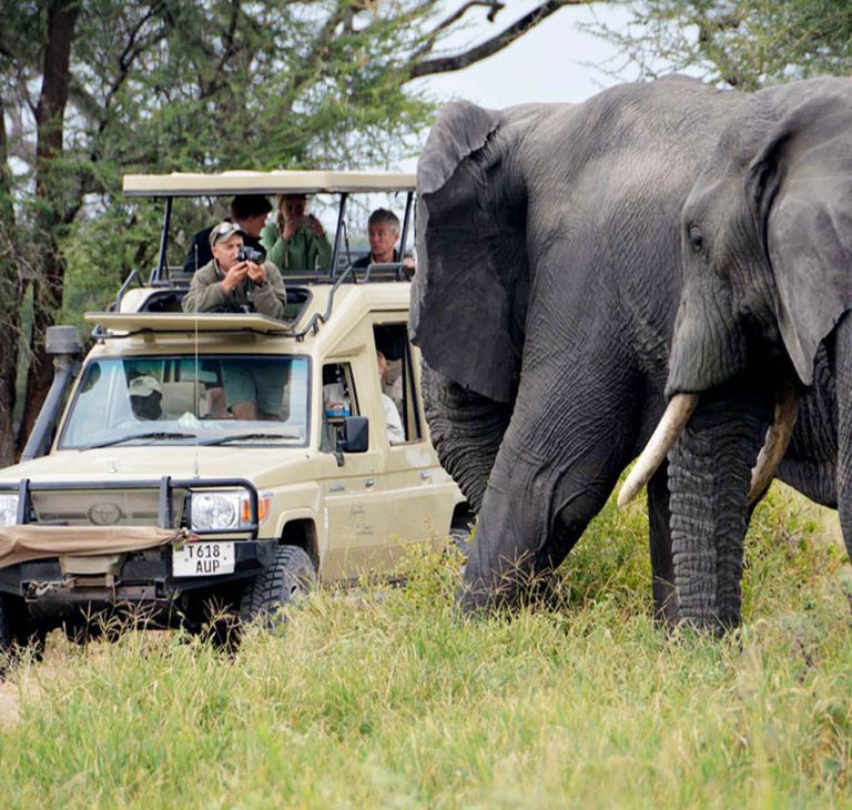 5 Day Camping Safari