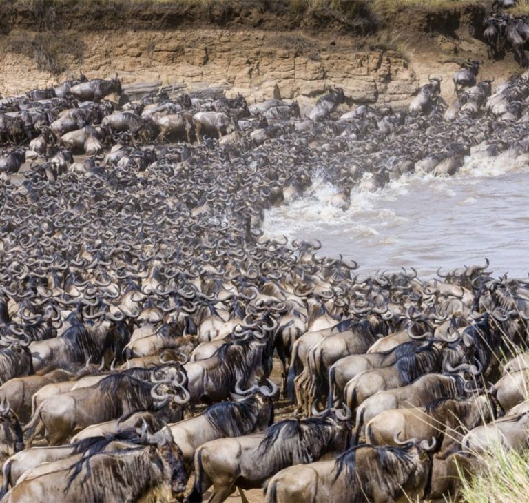9 Day Tanzania Wildebeest Migration Safari