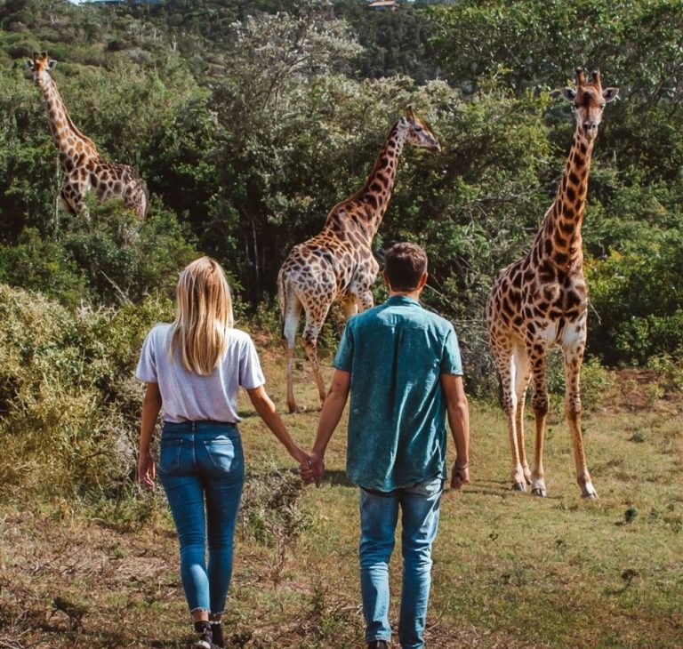 Day Trip Arusha National Park