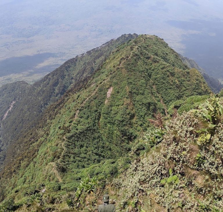 10 Day Tour Uganda Rwanda