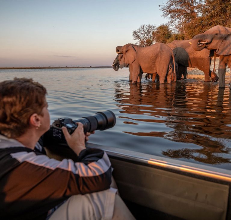 5 Days Botswana Wilderness Safari