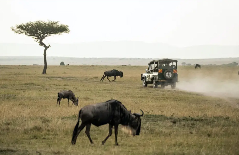 Best time to visit Tanzania