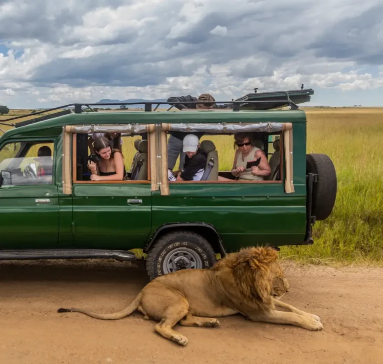 7 Day -Camping -Safari