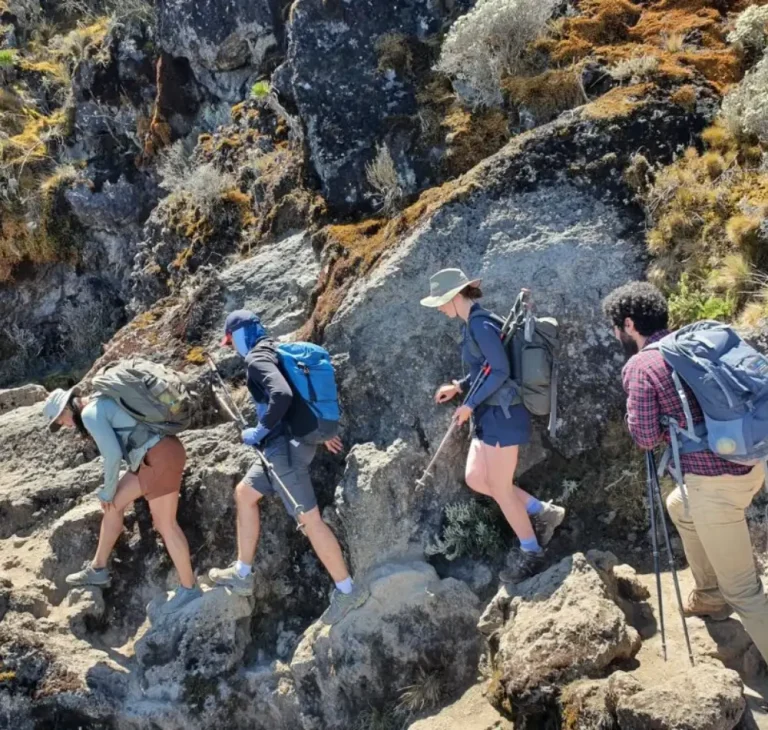 6 Days- Kilimanjaro- Climb- Rongai- Route