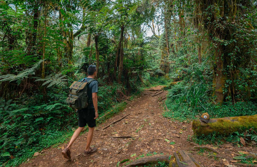 The Best Things to Do in Tanzania