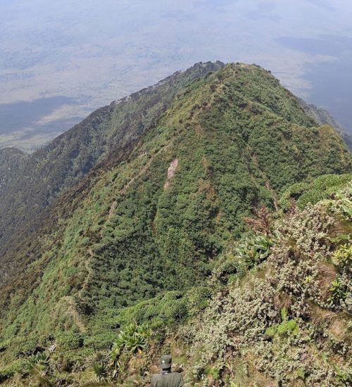 10 Day Tour Uganda Rwanda