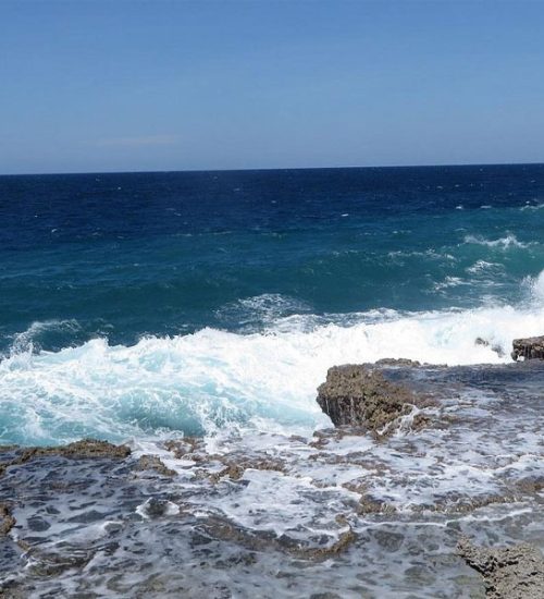 13 Days Southern Safari and Kilwa Beach