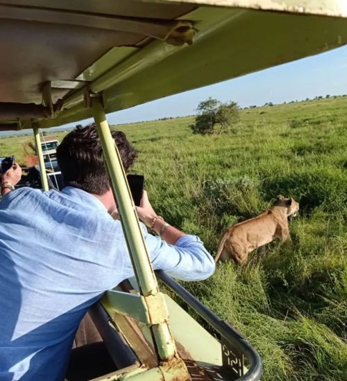 14 Days- Amboseli, Lake Nakuru, Masai Mara, Central Serengeti, Ngorongoro Crater, Tarangire and Lake Manyara