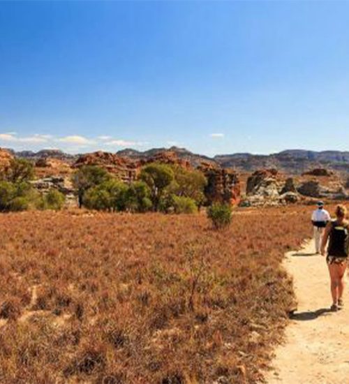 24 Days Madagascar In depth Tours