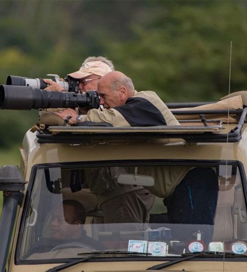 4 Day Camping Safari