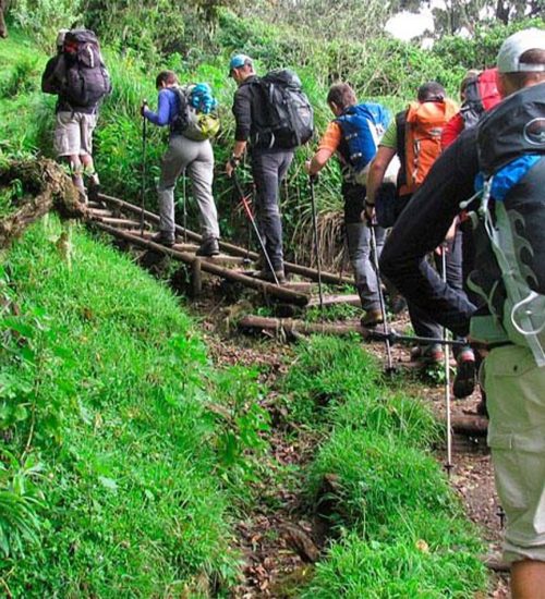 4 Days Mt Meru Trekking