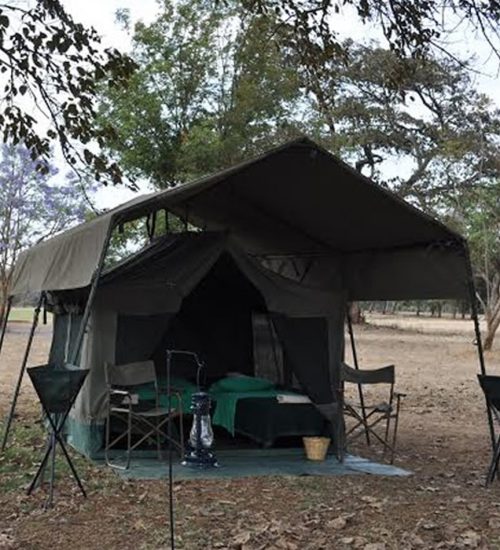 4 days Tanzania budget Camping safari in Tanzania