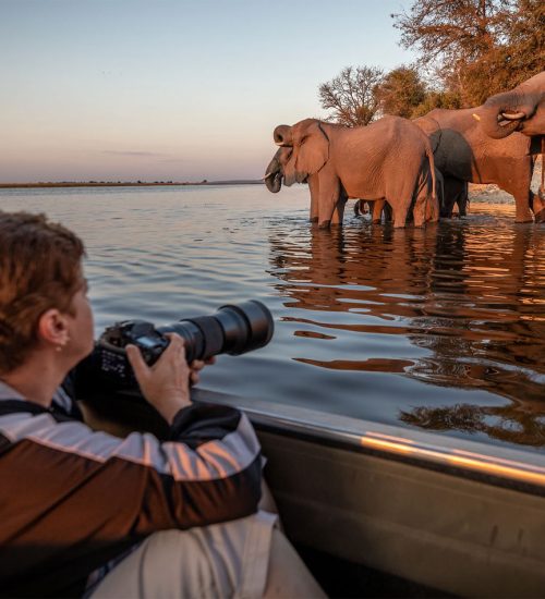 5 Days Botswana Wilderness Safari