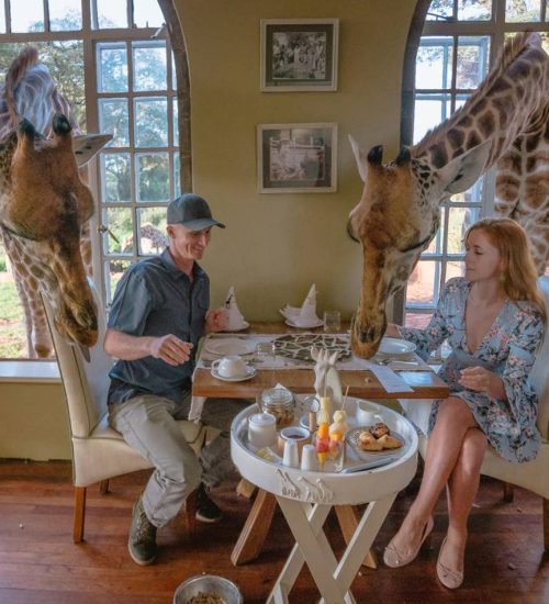 6-Day Private Safari in Kenya Extravaganza