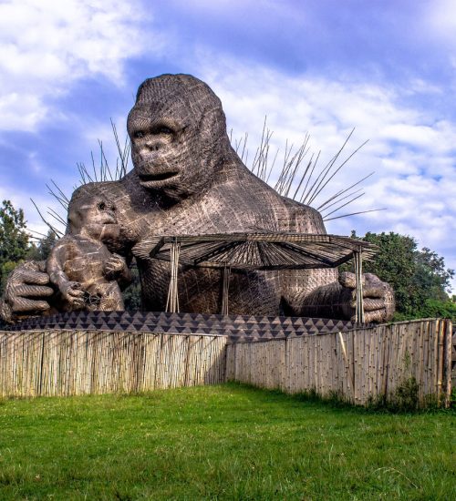 6 days Rwanda wildlife and gorilla tracking Tour.