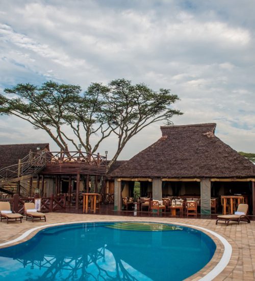 7 Days Tanzania Lodge Safari