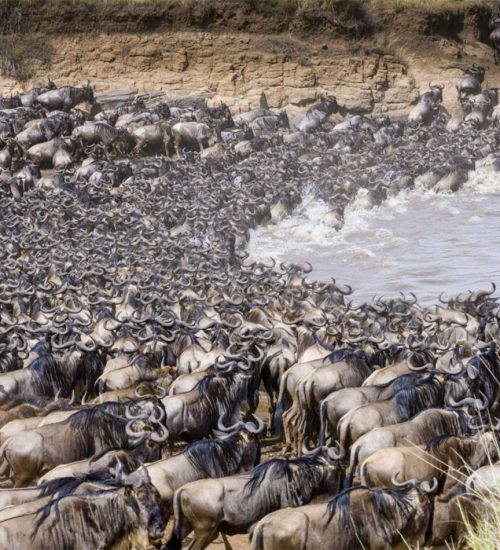 9 Day Tanzania Wildebeest Migration Safari