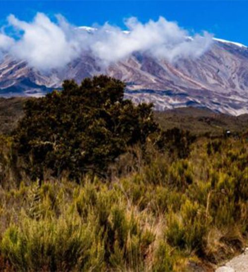 Climbing Kilimanjaro Frequently Asked Questions
