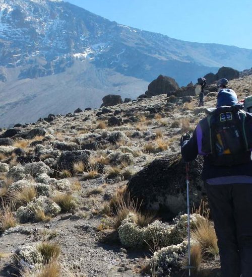 Climbing Routes On Kilimanjaro