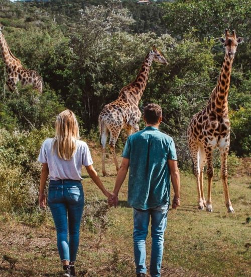 Day Trip Arusha National Park