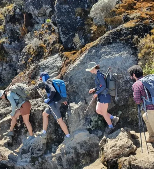 6 Days- Kilimanjaro- Climb- Rongai- Route